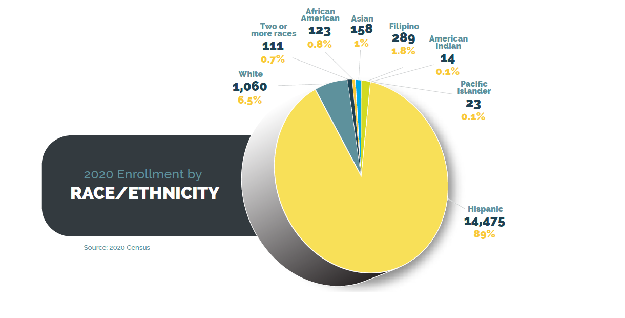 SUHSD 2020 Enrollment by Race Ethnicity