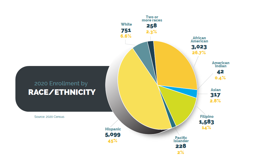 Vallejo 2020 Enrollment by Race Ethnicity